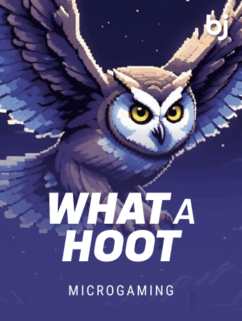 What A Hoot game thumbnail
